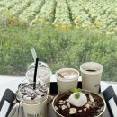 해바라기 애견 이미지