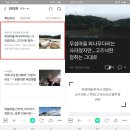 (합)소백산관광 | 혼자 영주 시내버스 타고 희방폭포, 무섬마을, 소수서원, 부석사 여행(한국일보 2020.09.18)