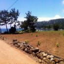 대평할머니 이미지