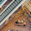 브라운 테팔 매장 이미지