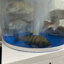 경민횟집 이미지