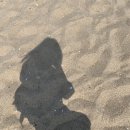 통일방앗간 이미지