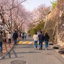 울산 남구 장생옛길 방문객 10명 중 7명 외지인 이미지