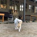 (주)플레이라움