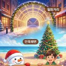 강원특별자치도강릉의료원 | 2025 강릉 크리스마스 축제 월화거리 안목해변 기본정보와 주차 꿀팁