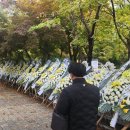 분당초교 앞 이미지