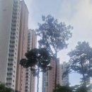 미추홀트루엘파크아파트 | 인천 미추홀 트루엘파크 설치 후기!