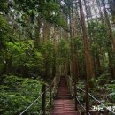 물영아리오름 이미지