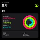 브레드하루 이미지