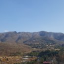 대교건강원 - 부안군 번영로 228-5 | 대교건강원