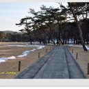 청성작은도서관 | ♬ 여주 세종대왕릉, &#39;영릉&#39;(2)