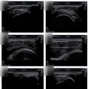 슬기로운정형외과의원 이미지