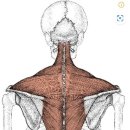 빅브로짐 휘트니스 구산점 이미지