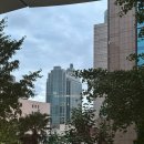 우당탕 랜드 | 우당탕 상해 여행) 4일차, 위싱지/매너커피/우캉멘션/타기/푸동공항 패왕차희