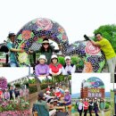[05월21일(수)제473회차]＜곡성 세계 장미축제＞섬진강 기차마을 장미공원 여행 트레킹 이미지