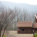 작전초등학교 앞(고려연립 방면) | #55[지자체/충북|단양] 소선암자연휴양림 3/3