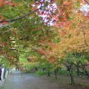 버스정류장 07-717 | 내장산 산행 [2014년 10월25일(토)]