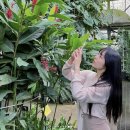 서신애 카카오 검색결과