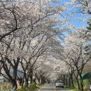 덕신목장 네이버블로그