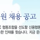 신용협동조합중앙회 사무직/전산직 대졸 신입사원 모집 공고 ~10/04 이미지