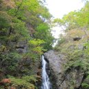 소백산산마루식당 이미지