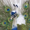 김밥천국 (동문점) 이미지