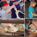 은환농장 이미지