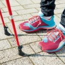 다이어트클럽 이미지