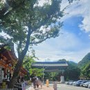 인제군보건소 | [속초, 강릉, 인제] 2025. 8. 13.~ 8. 16. 여행일기