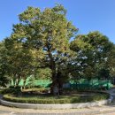 모롱지공원 이미지