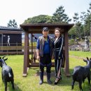 사방염소농장 이미지