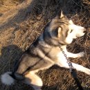 워시하우스 이미지