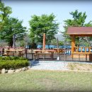 안성중학교 이미지