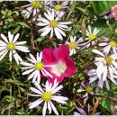 회인농장 이미지