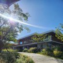 쿨타임 | 모모스 도모헌점 주차 및 디카페인 메뉴 쿨타임 후기