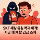 의성군공공재활용센터 | SKT 유심 해킹, 유심보호서비스만으로 충분할까? 유심교체·번호이동까지 총정리