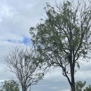 은하수농장 이미지