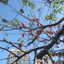 경명여자고등학교 이미지