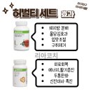 허벌라이프 리아코치