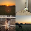 일출스테이 | 제주 동쪽 일출명소숙소 팜팜스테이, 101호 후기