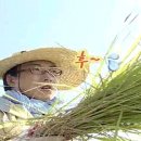 사피엔스위