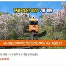 모노65 이미지