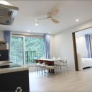 인제내린천 자작나무숲 겨울이네펜션 이미지