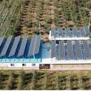 연리태양광 이미지