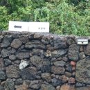 스테이두모 이미지