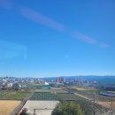 글로벌광택 | 글로벌오사카 후기