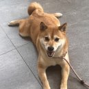 삼청당 포항북구점 이미지