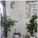 천사 공인중개사 사무소 이미지