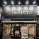 철든돼지