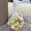 머물다삼포 이미지